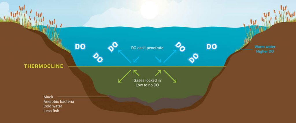 Thermocline Infographic