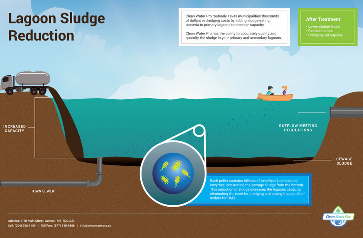 Sludge Reduction - Lemna Environmental Technologies