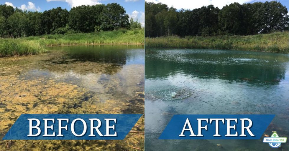 dugout-pond-water-quality-and-algal-bloom-remediation-fine-bubble