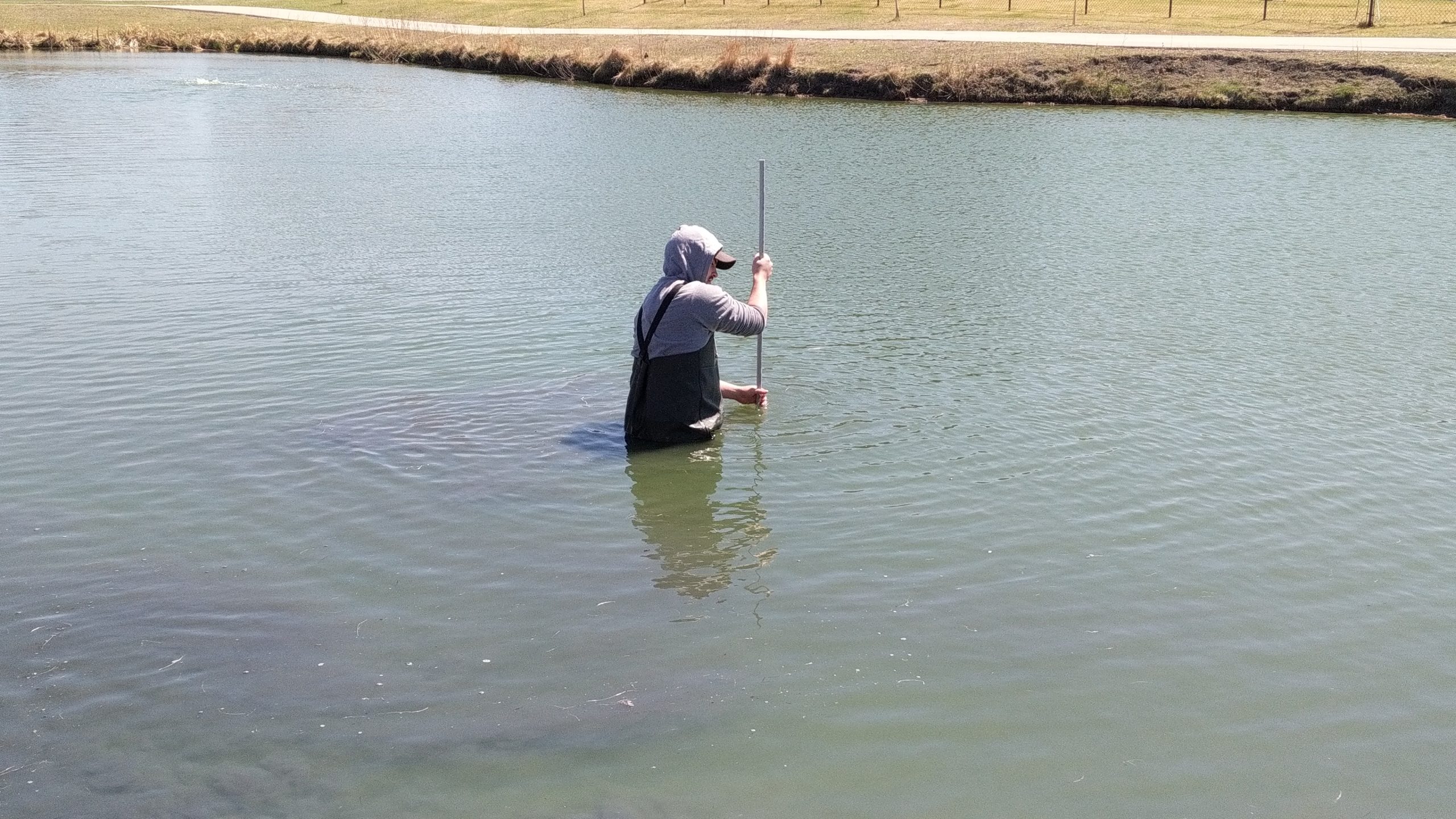 Team member measuring muck accumulation in a pond