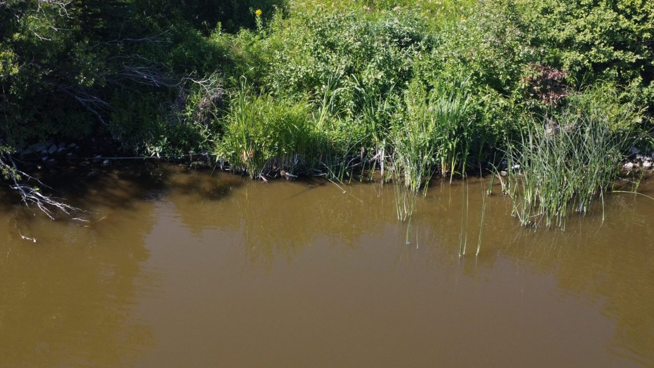 Stagnant Water: How Does It Affect Dugout Ponds, Retention Ponds, And