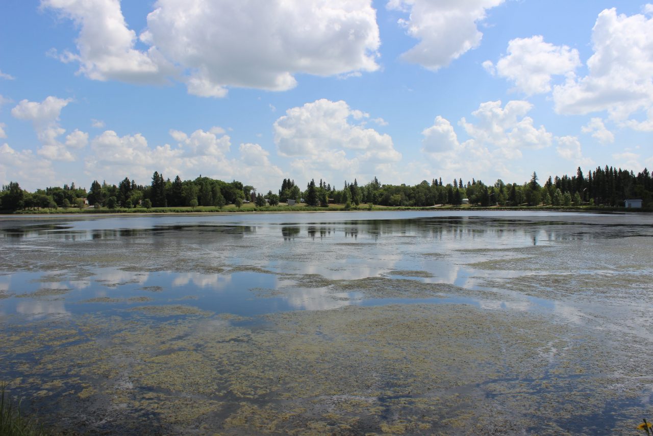 Stagnant Water In Dugout Ponds Retention Ponds And Lakes Clean Water Pro 1976