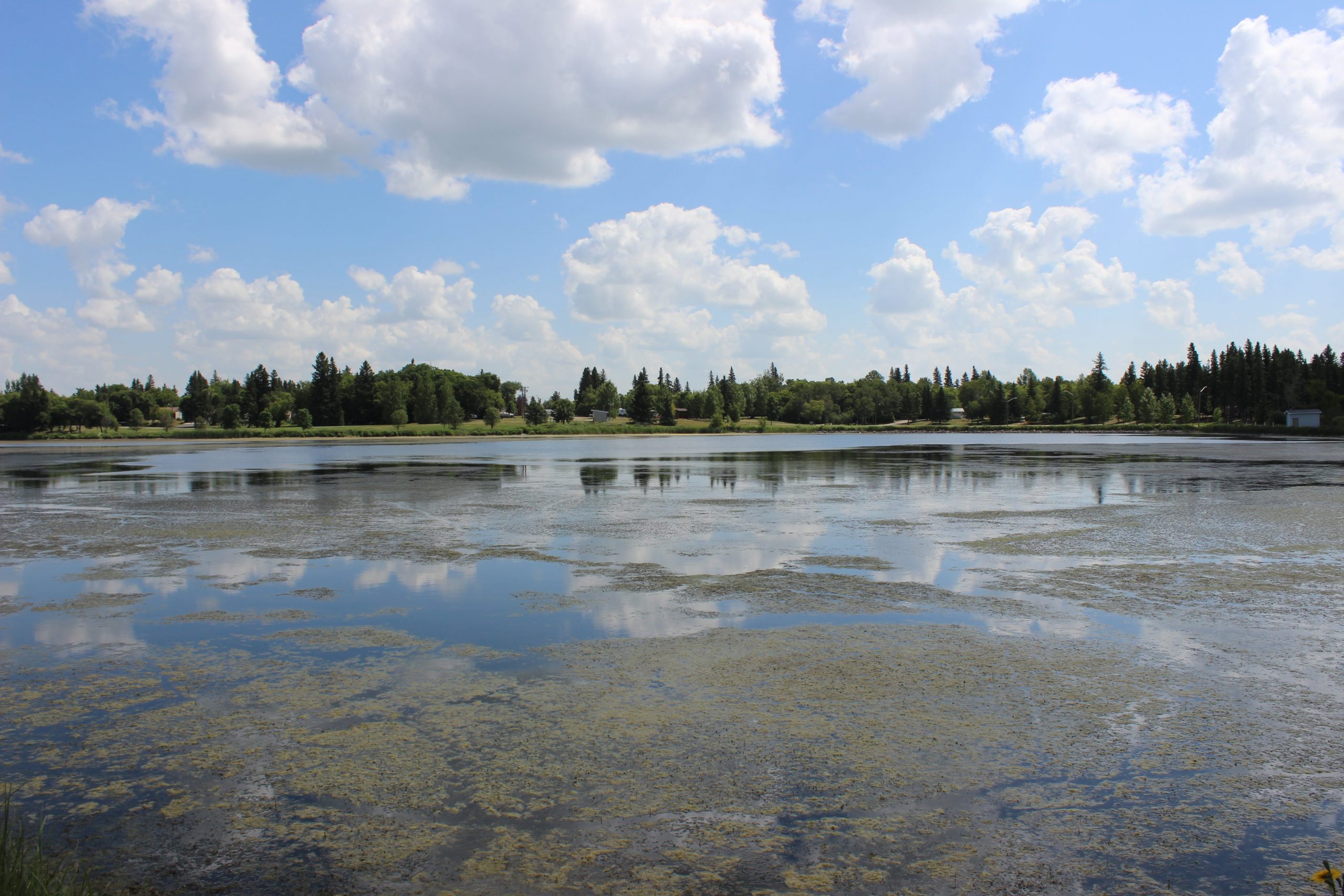 stagnant-water-in-dugout-ponds-retention-ponds-and-lakes-clean