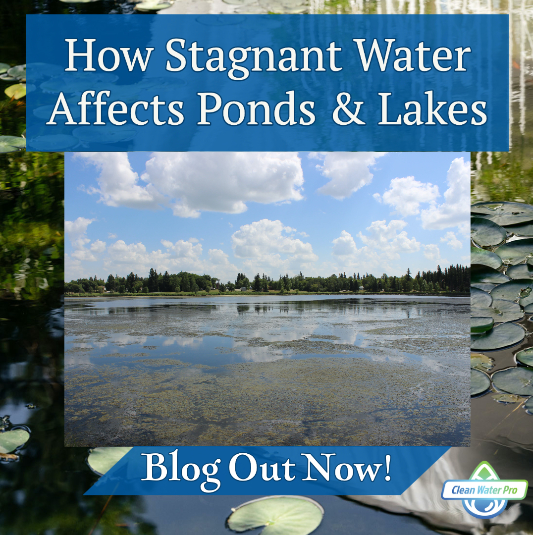 stagnant-water-how-does-it-affect-dugout-ponds-retention-ponds-and