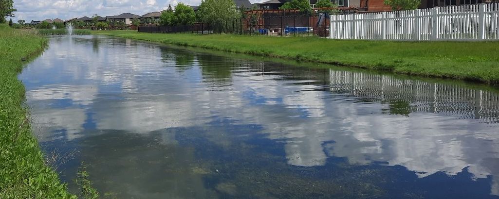 City Storm Retention Pond Shoreline With Residential Housing