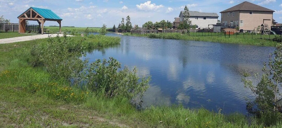Storm Retention Ponds: Challenges And Solutions to Water Quality Management