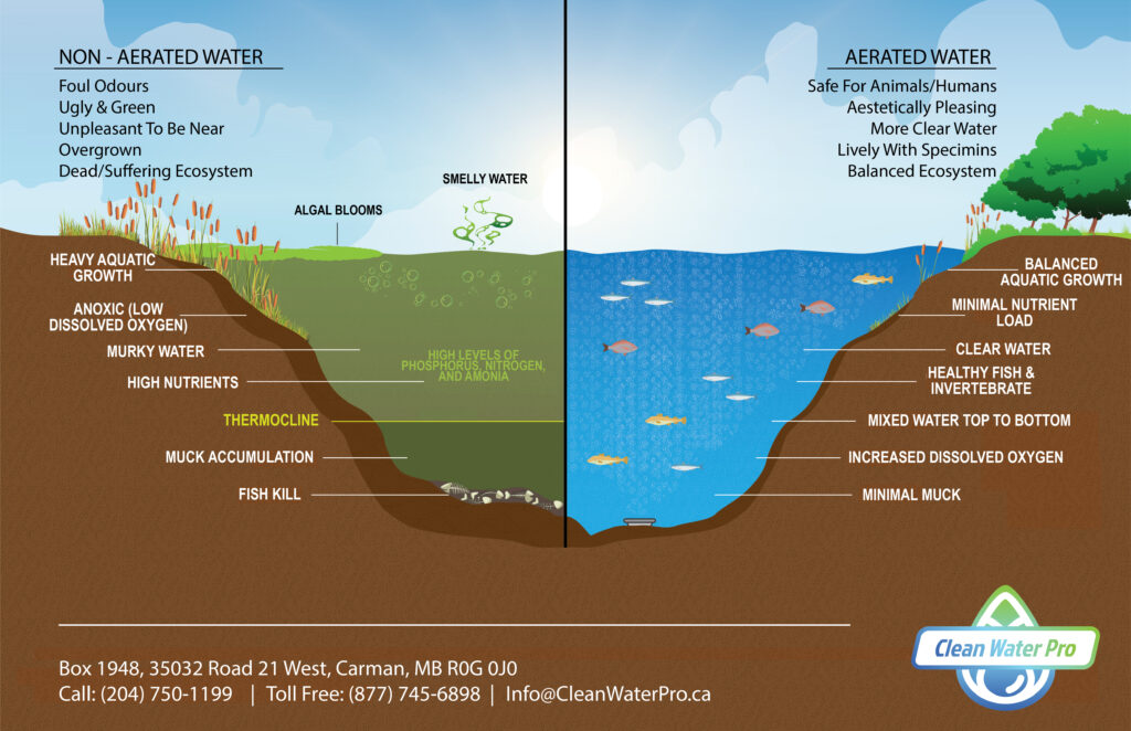 Non-aerated water vs. aerated water graphic