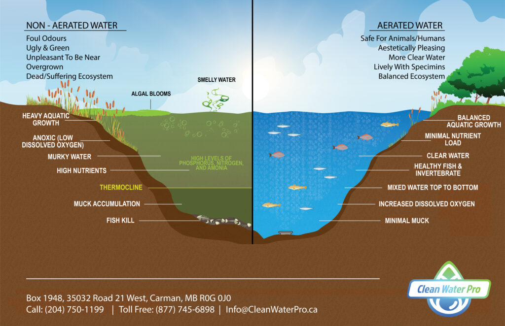 Difference between non-aerated water and aerated water