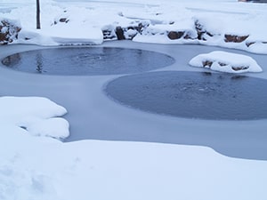Winterize A Pond: Water Gardens, Koi Ponds, and Dugouts