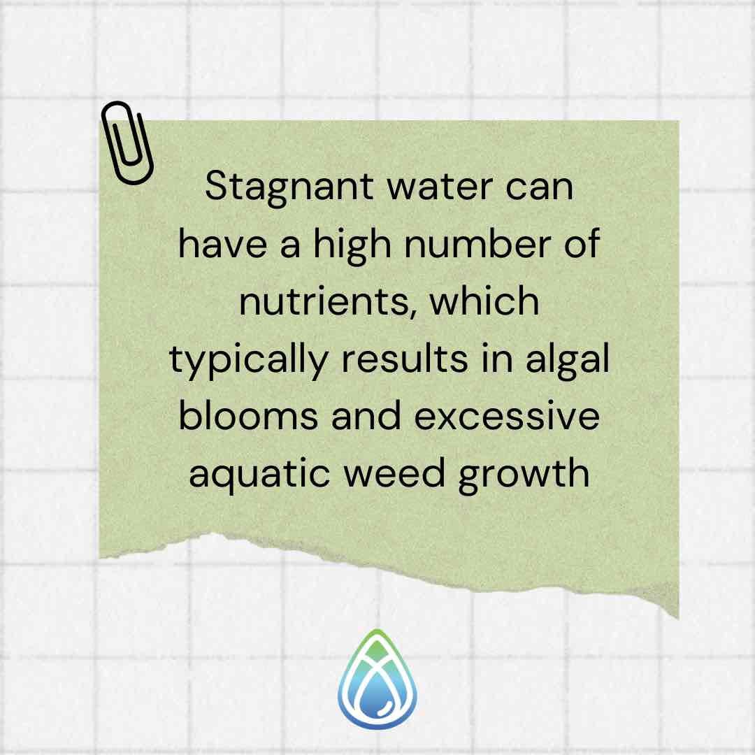 Stagnant Water Fact