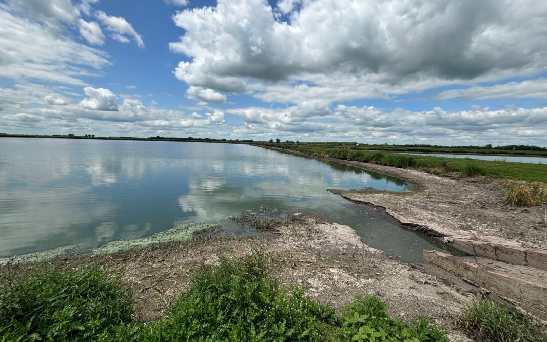 The Proof Is in the Data: Smarter Lagoon Management Starts with a Sludge Survey