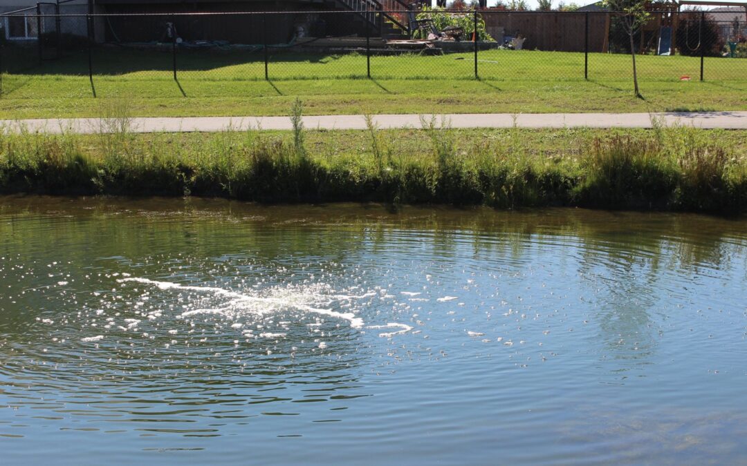 The Technology Behind Fine Bubble Aeration: Why It’s the Best