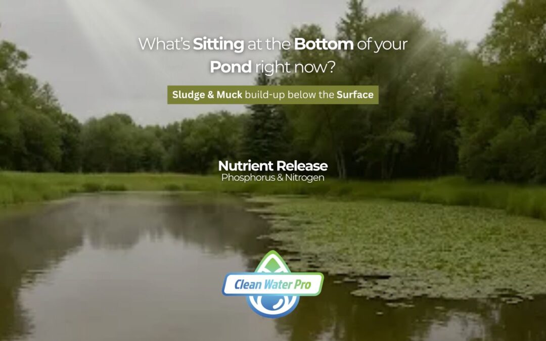 What’s Sitting at the Bottom of Your Pond Right Now?