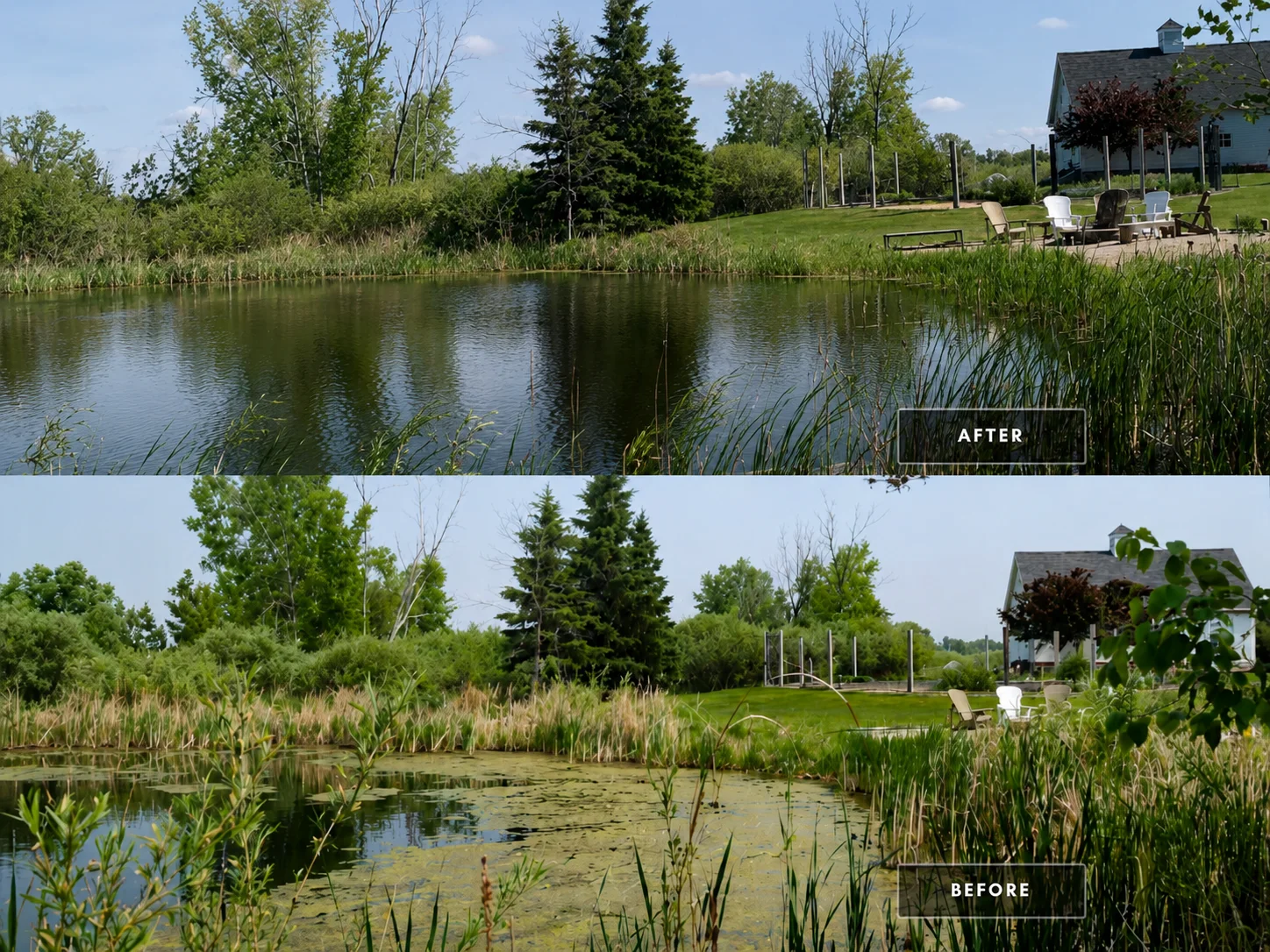 Clean Water Pro before and after pond results