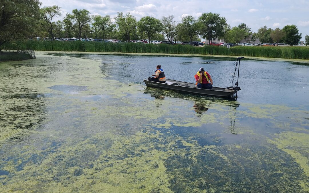 Your Pond Looks Fine, But Is It Ready for Fall?